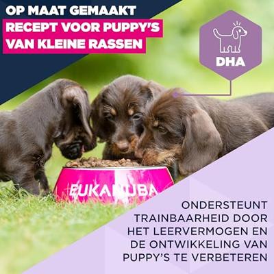 EUKANUBA Puppy Small Rich in chicken - droog hondenvoer - 3kg