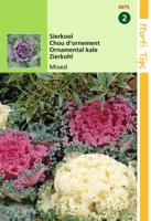 Zaden Brassica Sierkool gemengd Hortitops - Hortitops - thumbnail