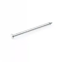 Eurofix Draadnagel pk verzinkt 3,0x65 mm 100 gram - thumbnail