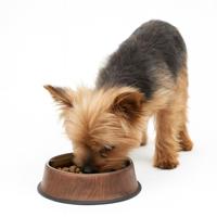 Nobleza Luxe voerbakje - RVS met houtmotief - Maat XS - thumbnail