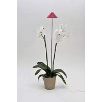 Venso LED-plantenlamp SUNLiTE LED vast ingebouwd 7 W Neutraalwit 1 stuk(s) - thumbnail