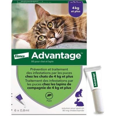 VOORDEEL 80 - 6 antiparasitaire pipetten - Voor katten en konijnen vanaf 4 kg