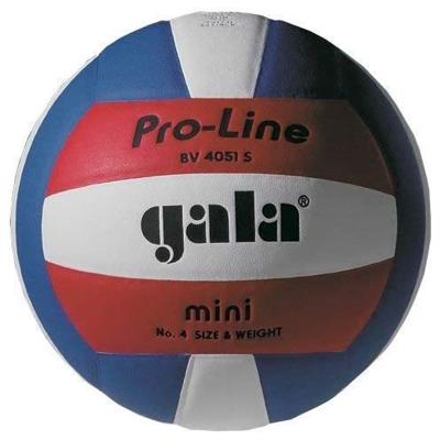 Gala Volleybal 4051S Minivolley