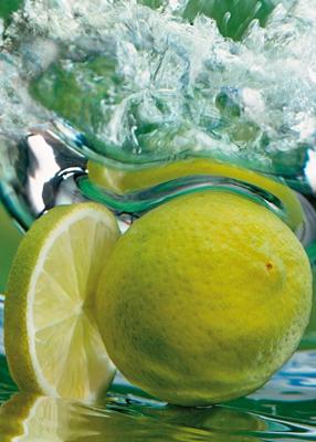 Kunstdruk Michael Meisen - Limone 50x70cm