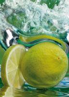 Kunstdruk Michael Meisen - Limone 50x70cm - thumbnail