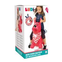 Mijn huppelende hond LUDI rood - thumbnail