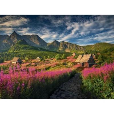 DinoToys Dino puzzel van de gasienica vallei - 1000 stukjes DinoToys Dino puzzel van de gasienica vallei - 1000 stukjes