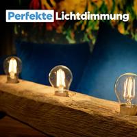 Shelly Vintage A60 ledlamp - thumbnail