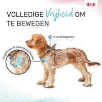 Hondentuigje Company of Animals Grijs XS 28-44 cm - thumbnail