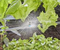 Sproeier 360 GardenaMicro sproeier 360ao Gardena - Gardena - thumbnail