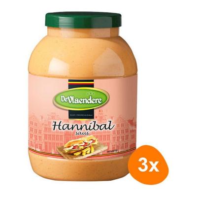 DeVlaendere - Hannibalsaus - 3x 3 ltr