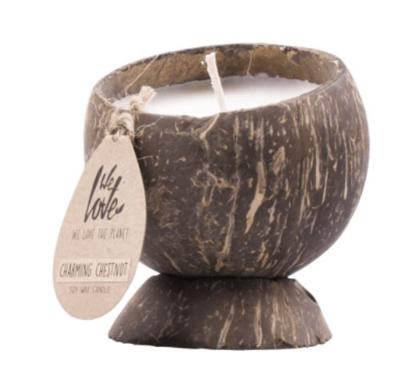 Kokosnootkaars - Charming Chestnut