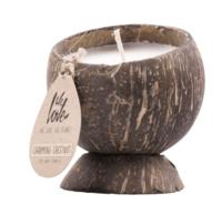 Kokosnootkaars - Charming Chestnut - thumbnail