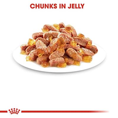 Royal Canin FHN Kitten Instinctive in gelei - natvoer voor kittens - 12x85g