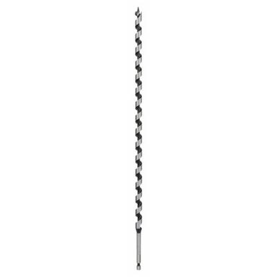 Bosch Accessoires Houtslangenboor, zeskant 12 x 360 x 450 mm, d 6,35 mm 1st - 2608597642 Bosch Accessoires Houtslangenboor, zeskant 12 x 360 x 450 mm, d 6,35 mm 1st - 2608597642