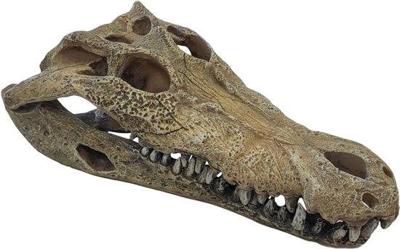 Deco crocodile l Repto - Repto Deco crocodile l Repto - Repto