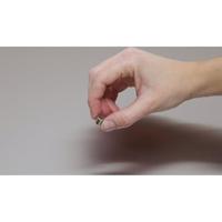 Maul Neodymium magneet (Ø x h) 10 mm x 10 mm Cilinder Zilver 4 stuk(s) 6166896 - thumbnail