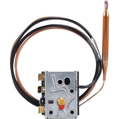 Jumo 60002994 Temperatuurbegrenzer