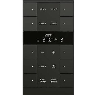 Busch-Jaeger 2CKA006330A0052 Kamerthermostaat SBR/U10.0.11-885