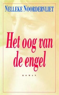 Het oog van de engel - Nelleke Noordervliet - ebook