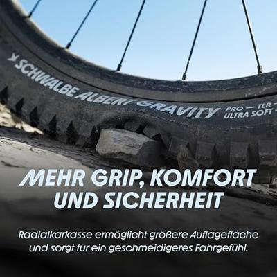 Schwalbe Buitenband 29" albert gravity pro