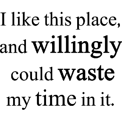 I like this place - Muursticker I like this place - Muursticker