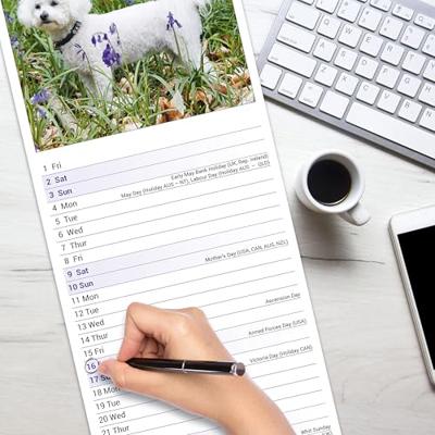 Bichon Frise Kalender 2026 Slimline Bichon Frise Kalender 2026 Slimline
