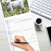 Bichon Frise Kalender 2026 Slimline - thumbnail