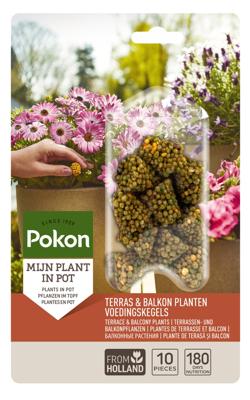Pokon Terras & Balkon Planten Voedingskegels 10 stuks
