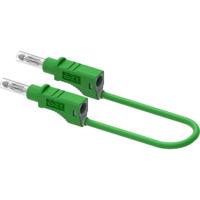 Electro PJP 2210/600V-CD1-25V Meetsnoer Steekaansluiting 4 mm 25 cm Groen 1 stuk(s) - thumbnail