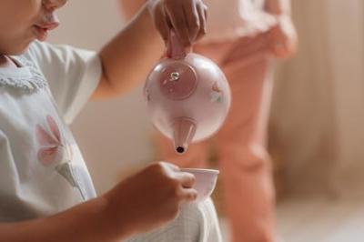 Little Dutch Fairy Garden Tinnen Theeservies