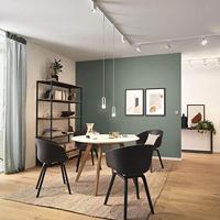 Paulmann Basic Pendel 230V-railsysteem lamp Universeel E27 20 W LED Wit, Chroom - thumbnail