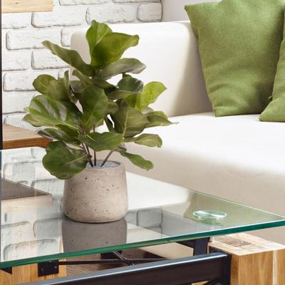 Royal Lyrata kunstplant 45cm