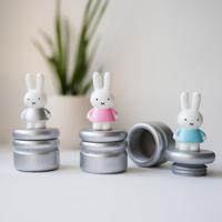 Nijntje houten melktandendoosje roze/zilver - thumbnail
