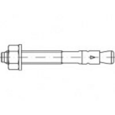 Alstertaler Schrauben & Präzisionsteile 887640100080161 Expressanker 161 mm 50 stuk(s)