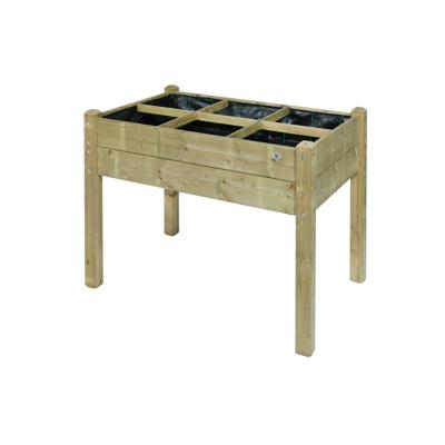 Minituin 120x60cm Talen Buitenmeubelen - Talen buitenmeubelen Minituin 120x60cm Talen Buitenmeubelen - Talen buitenmeubelen