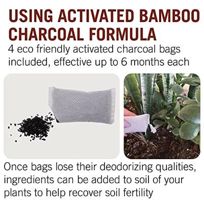 Sneaker Peekers geurvreters - Set van 2 geurvreters en 4 navullingen Sneaker Peekers geurvreters - Set van 2 geurvreters en 4 navullingen