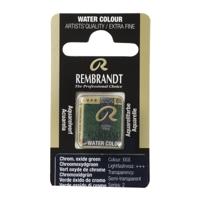 Rembrandt Aquarelverf Napje - Chroomoxydgroen #668 - thumbnail