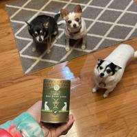 Pawfect freeze dried treats goat - thumbnail