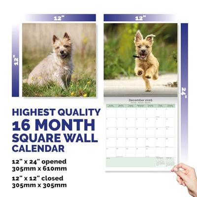 Cairn Terrier Kalender 2026