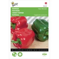 Zaden Paprika Yolo Wonder Buzzy - Buzzy - thumbnail