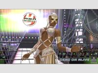 Dead or Alive 4 (classics) - thumbnail