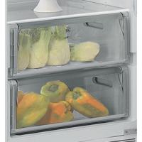 Indesit INSZ 18011 combi-koelkast Ingebouwd 292 l F Wit - thumbnail