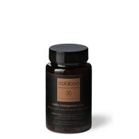Skin Care Truffle Indulgence 40+ Premier Nutrition Rejuvenating - thumbnail