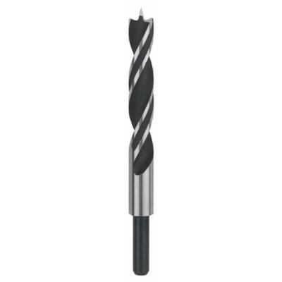 Bosch Accessoires Houtspiraalboren Standard 15 x 100 x 160 mm, d 10 mm 1st - 2608596312