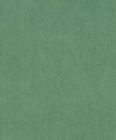 Dutch Tahiti - Kapia groen - 13313 - thumbnail