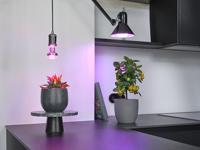 OSRAM HOMELIGHTING 4058075845800 Plantenlamp-lamp E27 20 W 1 stuk(s) - thumbnail
