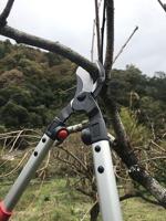 ARS Takkenschaar LPB-30S 48cm, S, rood/grijs - thumbnail