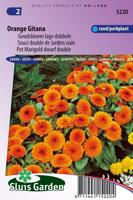 Goudsbloem lage dubbele bloemzaden - Orange Gitana - thumbnail