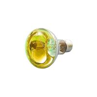 Eurolite 9210400U Halogeen-lamp E27 Reflector 60 W Geel 1 stuk(s) - thumbnail